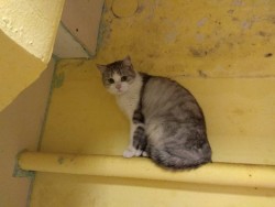 IMG-d0f50d994e8029656b6b37d0cf3abc7d-V.jpg (74.79 КБ) Просмотров: 970 IMG-d0f50d994e8029656b6b37d0cf3abc7d-V.jpg