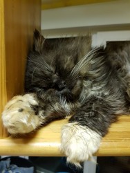 viber image.jpg (198.59 КБ) Просмотров: 1116 viber image.jpg