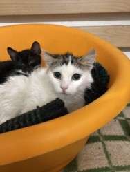 viber image 2019-03-30 , 16.12.35.jpg (168.31 КБ) Просмотров: 2165 viber image 2019-03-30 , 16.12.35.jpg