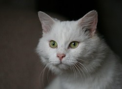 IMG_4875.jpg