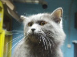 PICT2933.jpg (112.07 КБ) Просмотров: 1369 PICT2933.jpg