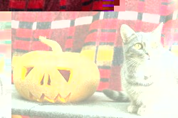 image.jpg (107.57 КБ) Просмотров: 3428 image.jpg