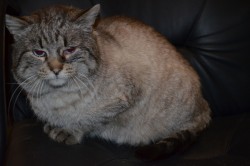 Изображение 584.jpg (166.45 КБ) Просмотров: 2564 Изображение 584.jpg