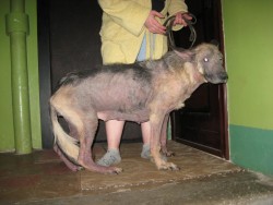 1826994.jpg (195.4 КБ) Просмотров: 1342 1826994.jpg