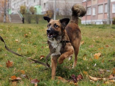 ФИЛЯ.jpeg (76.63 КБ) Просмотров: 15381 ФИЛЯ.jpeg