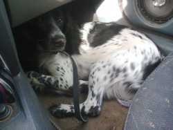 sparu.jpg (185.07 КБ) Просмотров: 1978 sparu.jpg