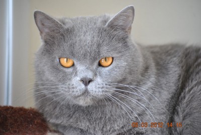 DSC_66772.jpg