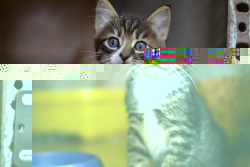 01.jpg