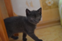 DSC_0165.JPG (3.86 МБ) Просмотров: 2371 DSC_0165.JPG