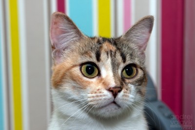 Кася.jpg (274.51 КБ) Просмотров: 1465 Кася.jpg