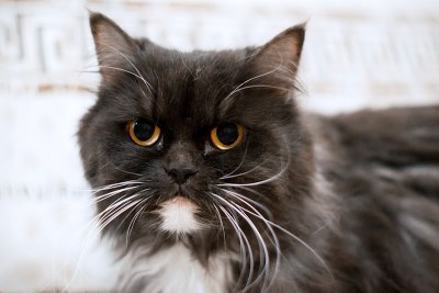 Марта.JPG (92.06 КБ) Просмотров: 2389 Марта.JPG