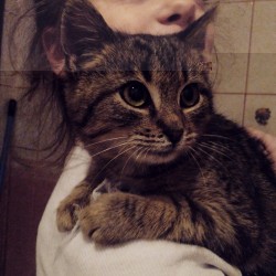 22.jpg (214.46 КБ) Просмотров: 2966 22.jpg