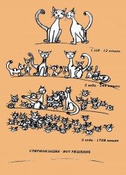 sterikart.jpg (213.38 КБ) Просмотров: 3259 sterikart.jpg