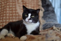 DSC_0050.JPG (3.3 МБ) Просмотров: 1185 DSC_0050.JPG