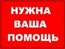 СОС Кошка с проволокой на лапе!