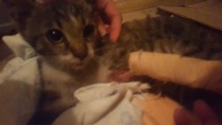 20150727_233232.jpg