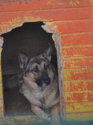 13.08 ß«í 027.JPG (257.35 КБ) Просмотров: 2619 13.08 ß«í 027.JPG