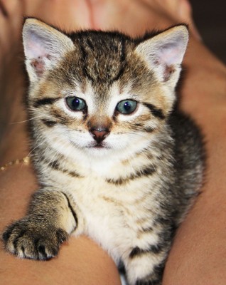 IMG_1934.jpg (270.48 КБ) Просмотров: 736 IMG_1934.jpg