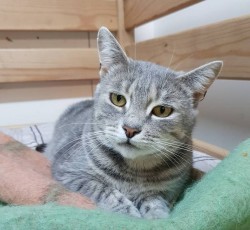 photofacefun_com_1525951427.jpg (162.69 КБ) Просмотров: 887 photofacefun_com_1525951427.jpg