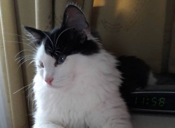 IMG-029ae4cfd1aa05f2623b15a09d8e3f49-V.jpg (44.8 КБ) Просмотров: 2968 IMG-029ae4cfd1aa05f2623b15a09d8e3f49-V.jpg