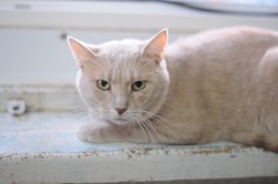 DSC_1516.JPG