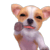 :dog_hi: :dog_hi: