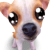 cry :dog_cry: